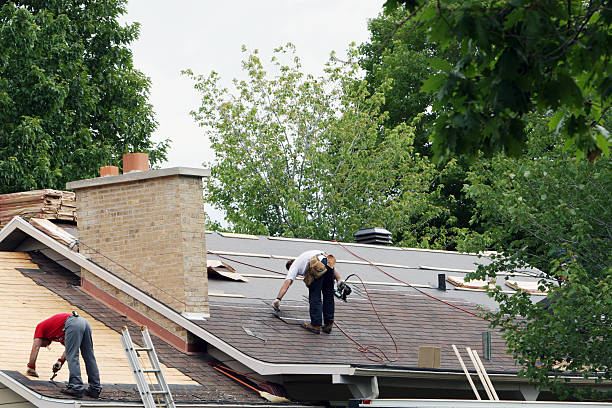 Best Roof Gutter Cleaning  in North Puyallup, WA